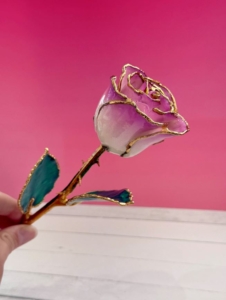 purple rose
