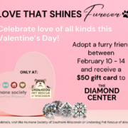 Love that Sines Furever (1)