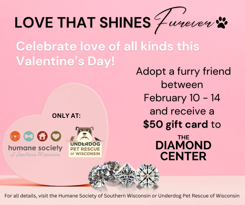 Love that Sines Furever (1)